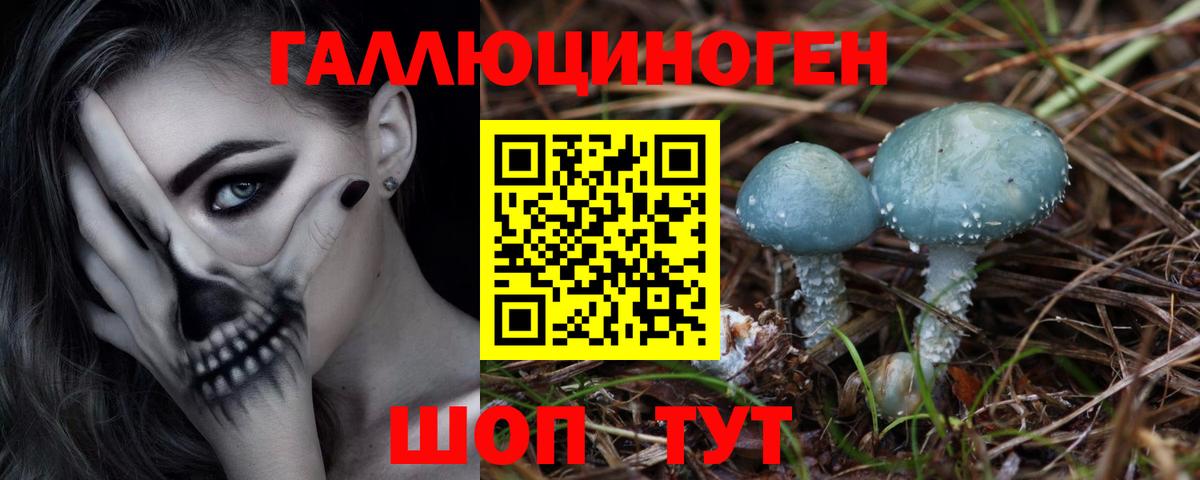 Назрань  Галлюциногенные грибы Cubensis  Галлюциногенные грибы прущие грибы  Вход с VPN 