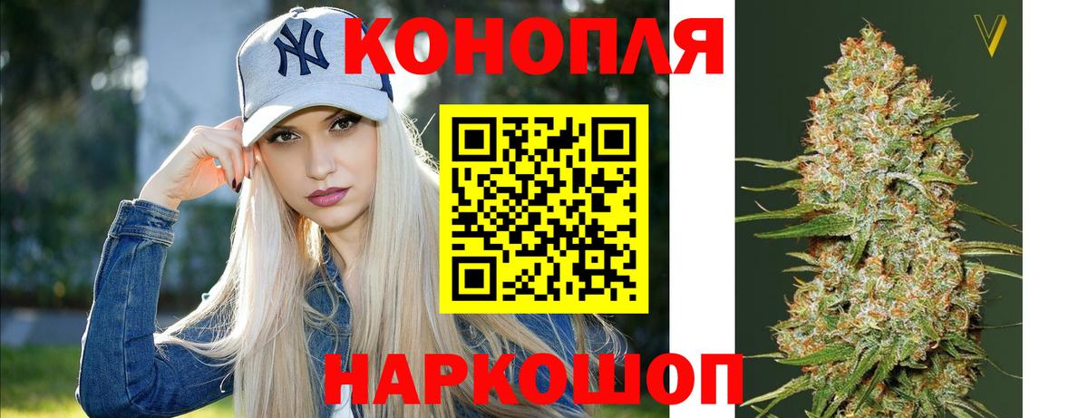 Каннабис White Widow  Бошки марихуана план  Назрань  Канабис OG Kush  Вход с VPN 